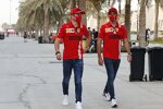 Charles Leclerc (Ferrari) und Carlos Sainz (Ferrari) 