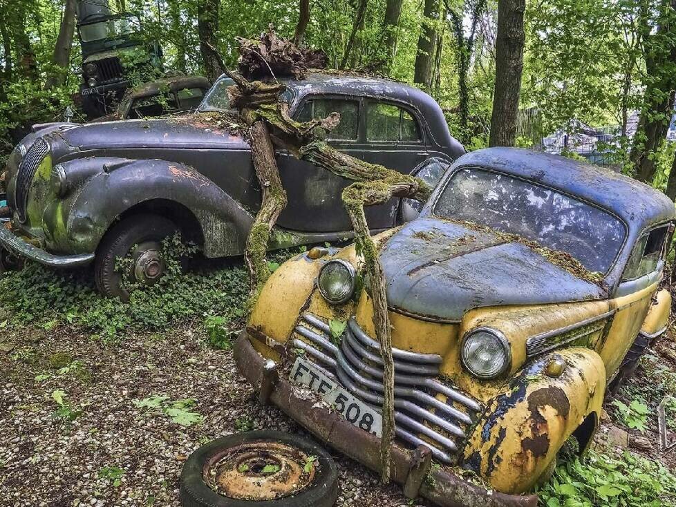 Autofriedhof Old Car City in Georgia