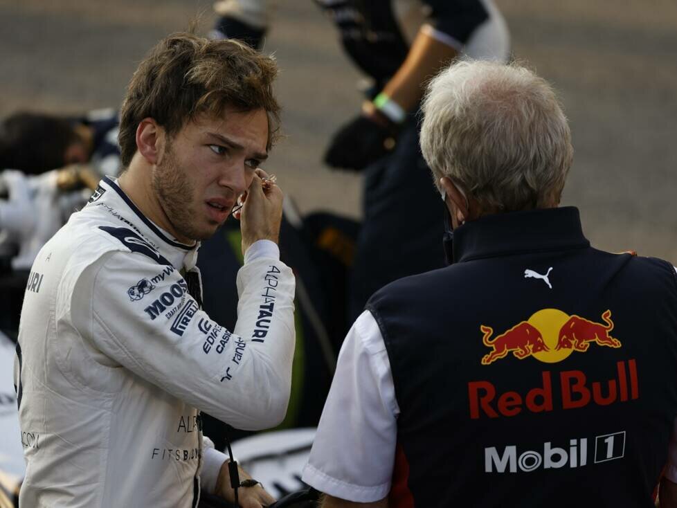 Pierre Gasly, Helmut Marko