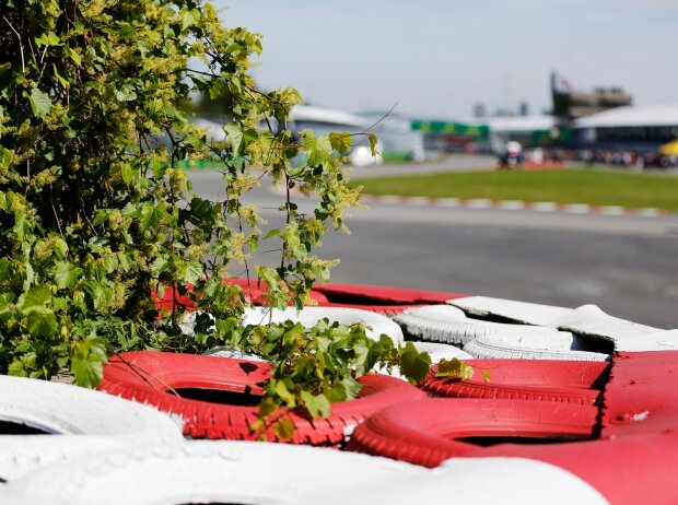 Titel-Bild zur News: Das FIA-Projekt "Score4Trees" zwingt die F1-Teams zum Bäumepflanzen (Symbolbild)