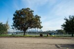 Umbauarbeiten im Albert Park in Melbourne