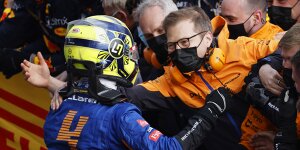 "Fliegt im Moment": Andreas Seidls großes Lob für Lando Norris