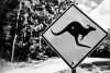 Bild zum Inhalt: Zwei weitere Todesfälle bei Targa-Tasmania-Rallye in Australien