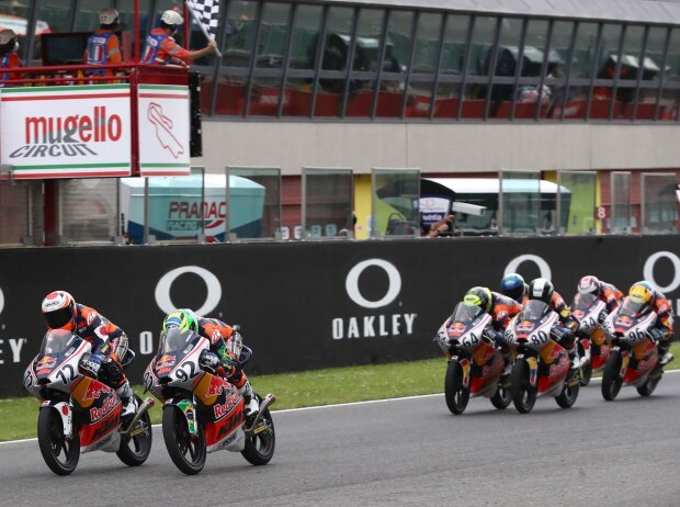 Red Bull Rookies-Cup