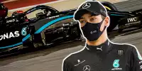 Bild zum Inhalt: F1-Talk am Donnerstag im Video: Russell & Mercedes 2022 schon entschieden?