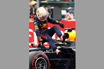 Max Verstappen (Red Bull) 