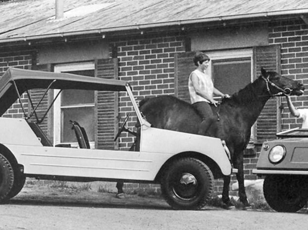 VW Country Buggy