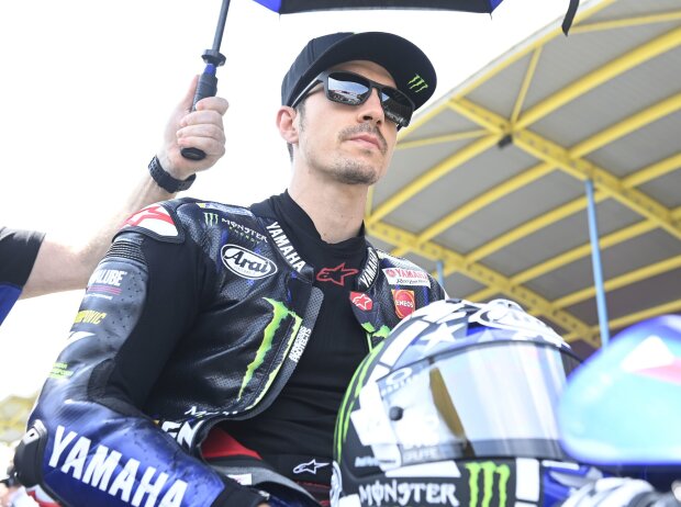Maverick Vinales Maverick Vinales