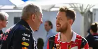 Bild zum Inhalt: Sebastian Vettel: Glaube nicht, dass Red Bull eine Option für mich war