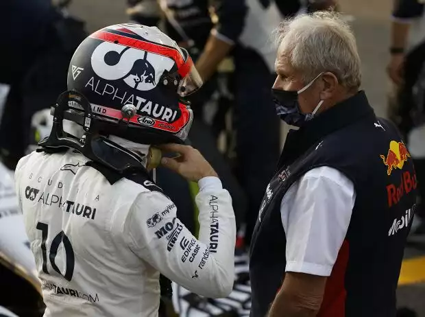 Titel-Bild zur News: Pierre Gasly, Helmut Marko