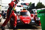 Ryan Cullen, Oliver Jarvis und Felipe Nasr 