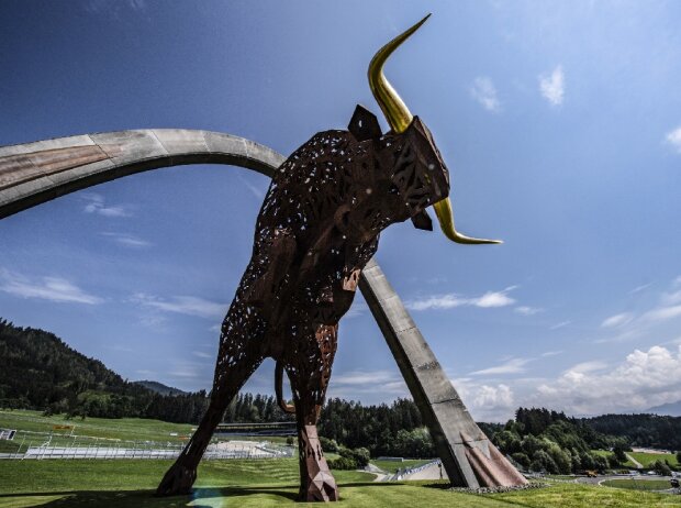 Titel-Bild zur News: Der Bulle auf dem Red-Bull-Ring in Spielberg/Österreich