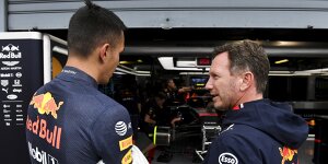 Horner sagt Albon: Ignoriere die Anrufe von Mercedes wegen Williams!
