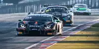 Mirko Bortolotti, Marco Mapelli, Andrea Caldarelli