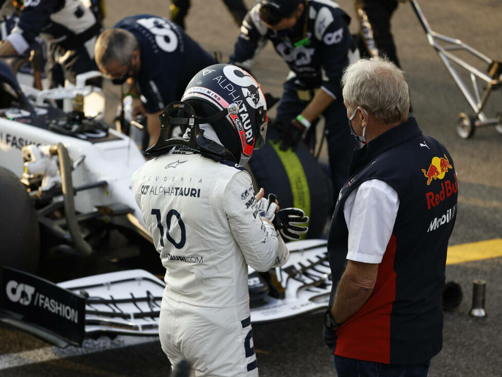 Pierre Gasly, Helmut Marko
