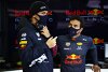 Red Bulls zweiter Fahrer: Wäre Alex Albon 2021 besser als Sergio Perez?