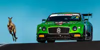 Känguru und Bentley Continental GT3 auf der Rennstrecke von Bathurst