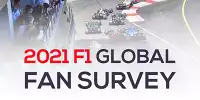 Bild zum Inhalt: F1 und Motorsport Network enthüllen Ergebnisse der globalen Fan-Umfrage