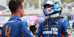 Daniel Ricciardo: Lando Norris erinnert mich an meine dritte Saison