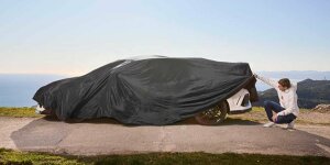 Max Verstappen verkauft seinen Honda Civic Type R