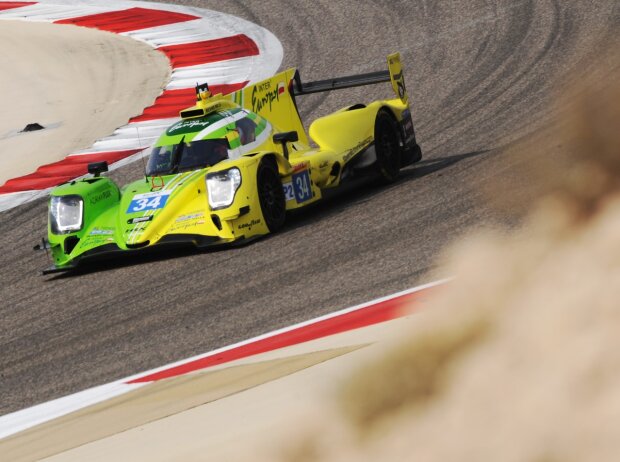 Renger van der Zande, Alex Brundle