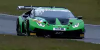Bild zum Inhalt: Reuter über Grasser-Quartett: "Bortolotti fantastische Benchmark"