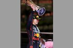 Max Verstappen (Red Bull) 