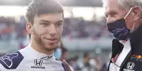Pierre Gasly, Helmut Marko