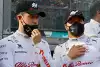 Bild zum Inhalt: Vom Wasserträger zum Teamleader: Alfa Romeo begeistert von Valtteri Bottas