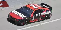Ross Chastain