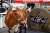 Bild zum Inhalt: Infos NASCAR 2022 All-Star-Race: TV-Zeiten, Teilnehmer, Historie & Co.