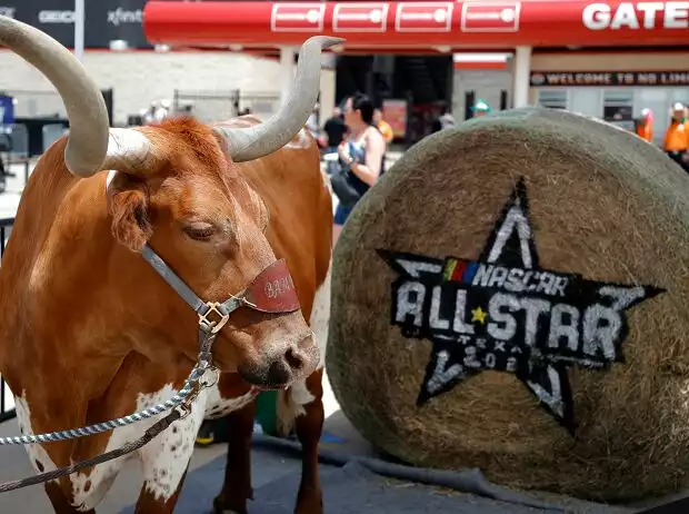Logo: NASCAR All-Star-Race 2021 auf dem Texas Motor Speedway in Fort Worth Titel-Bild zur News: Logo: NASCAR All-Star-Race 2021 auf dem Texas Motor Speedway in Fort Worth