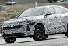 Audi Q5 (2023) mit weniger Tarnung erwischt