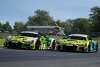 RaceRoom Racing Experience: Neues Update für die PC-Rennsimulation inklusive Warnhinweis