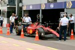 Charles Leclerc (Ferrari) 