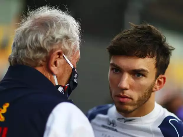 Helmut Marko und Pierre Gasly Titel-Bild zur News: Helmut Marko und Pierre Gasly