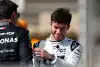 Bild zum Inhalt: Pierre Gasly zu Mercedes: Ist was dran an den Gerüchten?