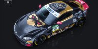 ADAC GT4 Germany, Aston Martin, Speed Monkeys