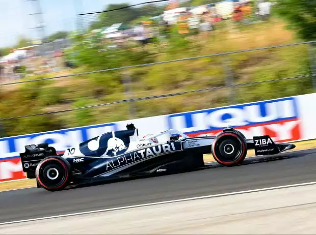 Pierre Gasly Titel-Bild zur News: Pierre Gasly