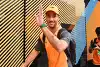 Bild zum Inhalt: Formel-1-Liveticker: Analyse zur Trennung von Ricciardo und McLaren