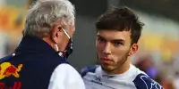 Bild zum Inhalt: Gasly, Mick & Colton Herta: Jetzt spielt die "Silly Season" komplett verrückt!