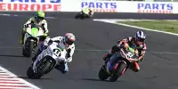 Matteo Ferrari, Mattia Casadei
