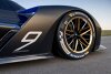 Bild zum Inhalt: 24h Le Mans 2023: Cadillac plant Großaufgebot mit drei LMDh-Autos