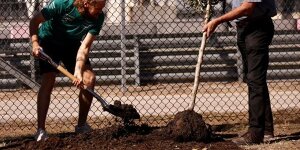 Zu Ehren von Vettel: COTA pflanzt 296 Bäume in Austin