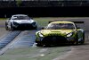 AMG-Diplomat Juncadella: Marciello denkt nicht so über Gounon