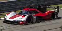 Für das Platz im Porsche 963 des Penske-Werksteams gibt es einen neuen Kandidaten