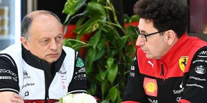 Erdbeben: Vasseur verlässt Alfa zu Ferrari, Seidl Nachfolger bei Sauber?