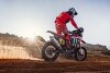 Bild zum Inhalt: Rallye Dakar 2023: van Beveren gewinnt Etappe 5, Walkner Vierter
