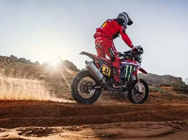 Adrien van Beveren Titel-Bild zur News: Adrien van Beveren