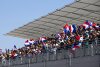 Nach Aus des Frankreich-GP: Jean Alesi rechnet mit französischer Politik ab